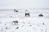 Độc lạ 'lực lượng' ngựa và lừa của Nga trên chiến trường Ukraine