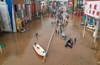 Trung Quốc: Số người chết, mất tích vì lũ lớn tăng cao