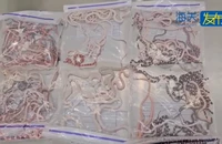 VIDEO: Giấu hơn 100 con rắn trong quần qua cửa hải quan
