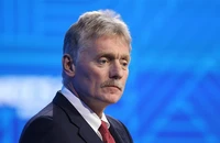 Điện Kremlin muốn ông Zelensky bỏ luật cấm đàm phán