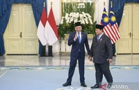 Indonesia sẽ tích cực hỗ trợ Malaysia thúc đẩy hòa bình Campuchia-Thái Lan