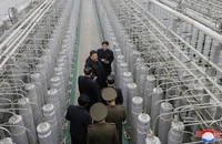 Tổng giám đốc IAEA: Năng lực hạt nhân của Triều Tiên đang tăng mạnh