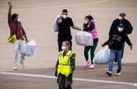 Pháp phát hiện ca nghi nhiễm virus Hanta trên chuyến bay hồi hương từ tàu MV Hondius