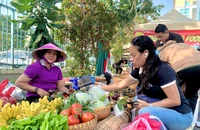 Hàng trăm phần quà Tết đến với người có hoàn cảnh khó khăn