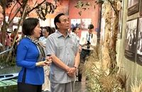 ‘Thời thanh xuân trên tuyến đường 1C huyền thoại’ tái hiện ký ức hào hùng