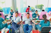 TP.HCM phát động ‘Ngày toàn dân hiến máu tình nguyện’