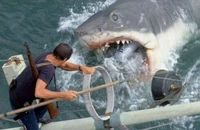 Đối mặt với nỗi sợ biển cả sâu thẳm và hàm cá mập sắc bén trong Great White