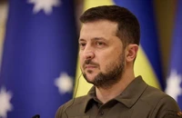 Ukraine nói đang đàm phán với Thổ Nhĩ Kỳ, Liên Hợp Quốc về xuất khẩu ngũ cốc. Ảnh: REUTERS