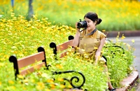 Check-in chốn pháp đình