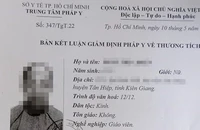 Ngày mai, xử vụ youtuber liên quan bà Phương Hằng hành hung nữ giáo viên