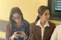 Tạm ngừng phiên tòa phúc thẩm vụ ca sĩ Diệp Lâm Anh tranh chấp quyền nuôi con