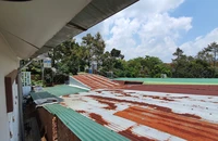 Lâm Đồng: Chính quyền trả lời về kiến nghị xử lý hành vi lấn chiếm đất công
