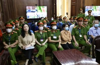 Luật sư của bà Trương Mỹ Lan đề nghị xem xét lại tội danh tham ô tài sản