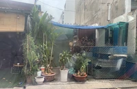 Dân 2 lần thắng kiện hành chính, ủy ban 2 lần từ chối cấp giấy chứng nhận