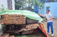 3 câu hỏi quanh vụ 'trục vớt cây gỗ lạ' nhưng không được thưởng ở Kon Tum