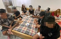 Từ 1-7, khi nào sử dụng ma tuý sẽ bị xử lý hình sự?