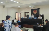 Đề xuất nhiều biện pháp bảo vệ bị hại là người chưa thành niên tham gia phiên tòa hình sự