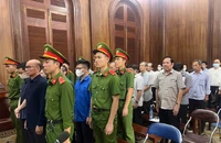 Đang xét xử cựu chủ tịch Quốc Cường Gia Lai vụ thâu tóm 'đất vàng' 