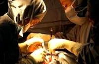 Thay van động mạch phổi qua da sau phẫu thuật tim tứ chứng Fallot
