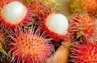 Đây là mẹo ăn vải, sầu riêng, chôm chôm... không nổi mụn