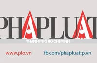 TP.HCM: Nhiều cá nhân giả mạo giấy tờ để xin cấp chứng chỉ hành nghề dược