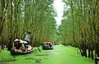 Về Trà Sư mùa nước nổi