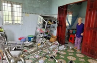 Bắt tạm giam 2 bị can nhóm đập phá tài sản nhà cụ bà 78 tuổi ở Long An để đòi nợ