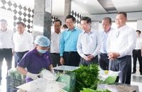 Thường trực Ban Bí thư khảo sát chương trình phát triển nông nghiệp ứng dụng công nghệ cao tại Long An