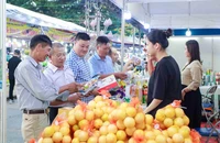 Hơn 500 gian hàng tham gia Hội chợ Công Thương khu vực ĐBSCL tại Long An