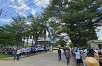 Công nhân ngừng công tập thể vì đường thoát nước bị bít gây mùi hôi thối