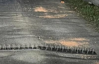 Dùng bàn chông đinh bẫy xe ô tô để cướp trên tỉnh lộ 818 ở Long An