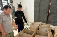 Long An: Phát hiện một cơ sở có dấu hiệu sản xuất thuốc bảo vệ thực vật giả