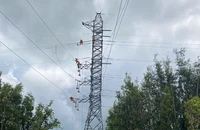 Đã khắc phục sự cố mất điện diện rộng tại Long An và Tiền Giang