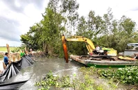 Long An: Có hơn 9.000 ha lúa bị nước lũ đe dọa