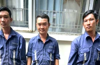 Chặt cây che bảng quảng cáo, 4 người bị bắt