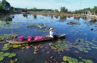 Long An sắp diễn ra Tuần Văn hóa – Thể Thao - Du lịch lần 2 