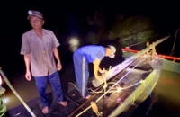 Bị khởi tố vì dùng công cụ kích điện bắt cá