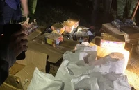 Giấu 1 tấn pháo lậu trong trại chăn nuôi để tết đem bán thì bị bắt