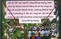 Đăng thông tin sai sự thật trên mạng xã hội, nam thanh niên bị phạt 10 triệu đồng