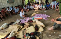 Long An triệt phá ổ đá gà quy mô lớn, thu giữ trên 300 triệu đồng
