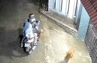 Camera ghi lại cảnh hai thanh niên dùng súng tự chế đi bắn trộm chó 
