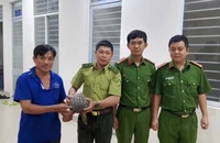 Bắt gặp con tê tê gần 4kg, người dân ở Tây Ninh giao nộp cho công an