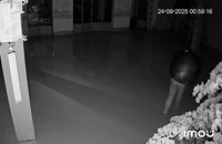 Camera ghi cảnh trộm chuông chùa khiến dư luận bức xúc