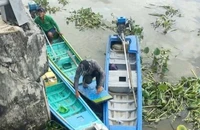 Chạy vỏ lãi đâm cột phao giữa sông, người đàn ông mất tích ở Tây Ninh