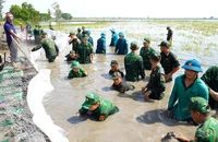 Tây Ninh: Lũ dâng cao, người dân Đồng Tháp Mười 'căng mình' chống lũ