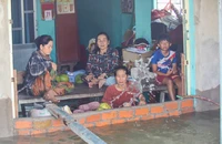 Người dân Đồng Tháp Mười trắng đêm tát nước ngăn lũ vào nhà