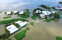 Lũ lớn, hơn 800 ha lúa và cây trái vùng Đồng Tháp Mười mất trắng