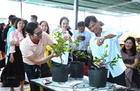 Khơi dậy bản sắc Tây Ninh để tạo nên sản phẩm du lịch đặc thù