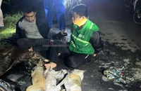 Tây Ninh: Hai kẻ trộm chó bị tóm gọn cùng súng điện và 5 con chó
