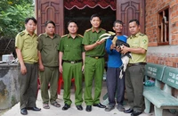 Người dân giao nộp chim hồng hoàng quý hiếm cho kiểm lâm